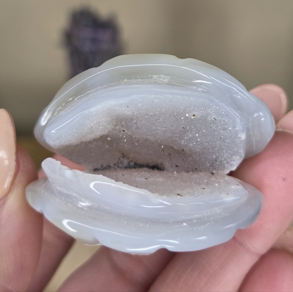 Druzy Agate Shell - Picture 6 of 6